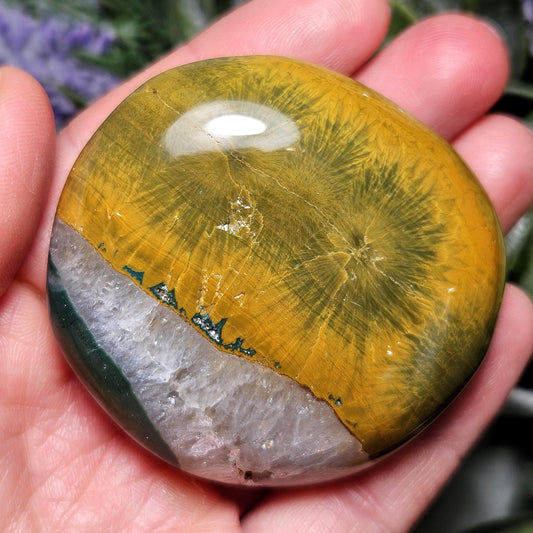 Starburst Ocean Jasper Palm Stone 2"+, Kabamby Madagascar Golden Ocean Jasper Crystal