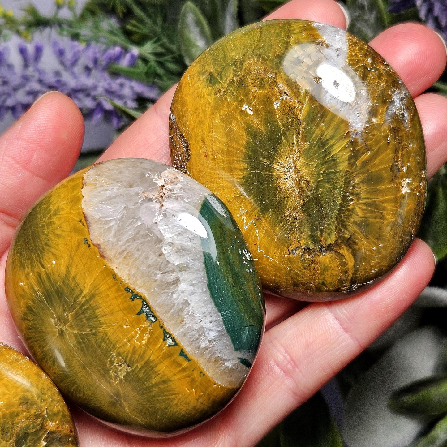 Starburst Ocean Jasper Palm Stone 2"+, Kabamby Madagascar Golden Ocean Jasper Crystal