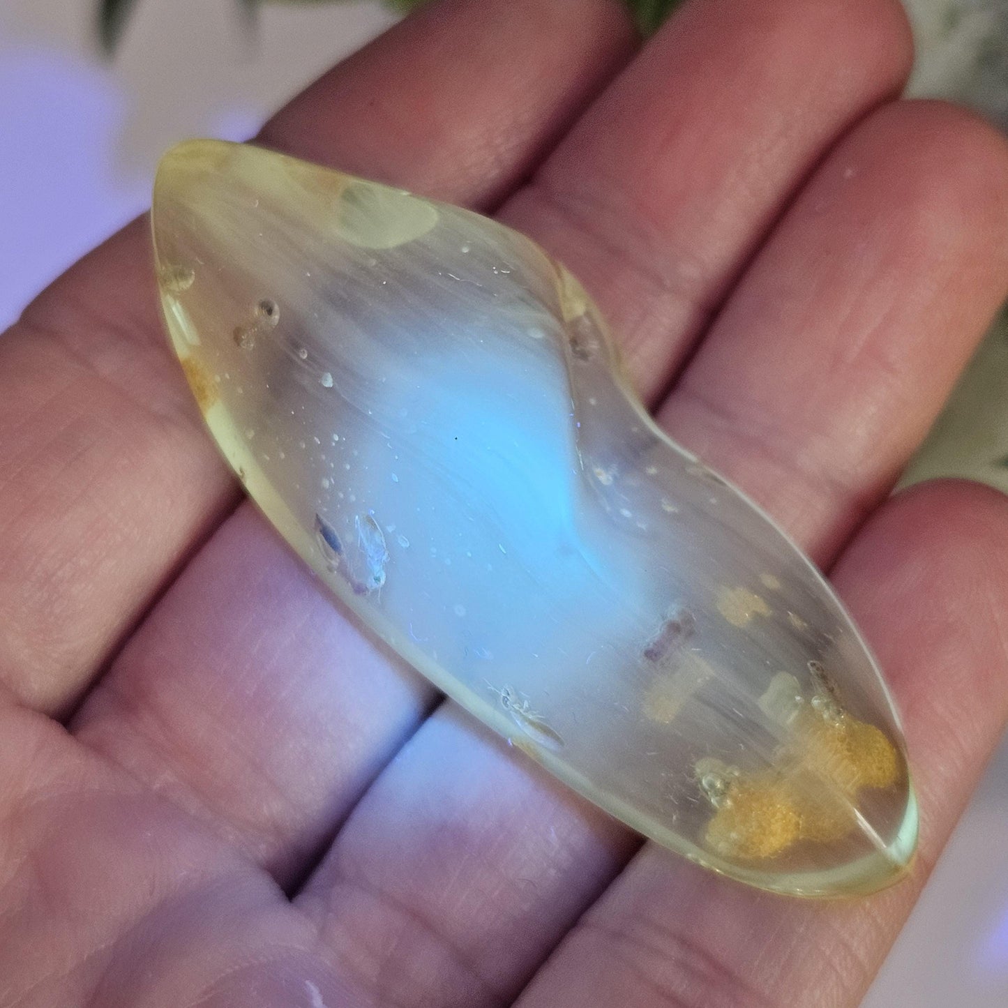 Enhydro Amber with MOVING Bubble & Insect Inclusions, 9.32g
