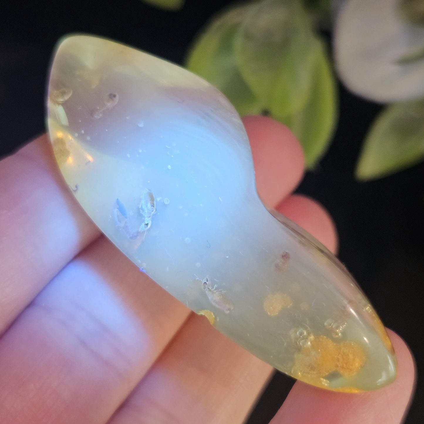 Enhydro Amber with MOVING Bubble & Insect Inclusions, 9.32g
