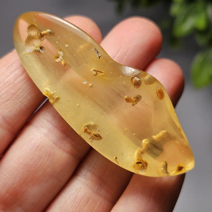 Enhydro Amber with MOVING Bubble & Insect Inclusions, 9.32g