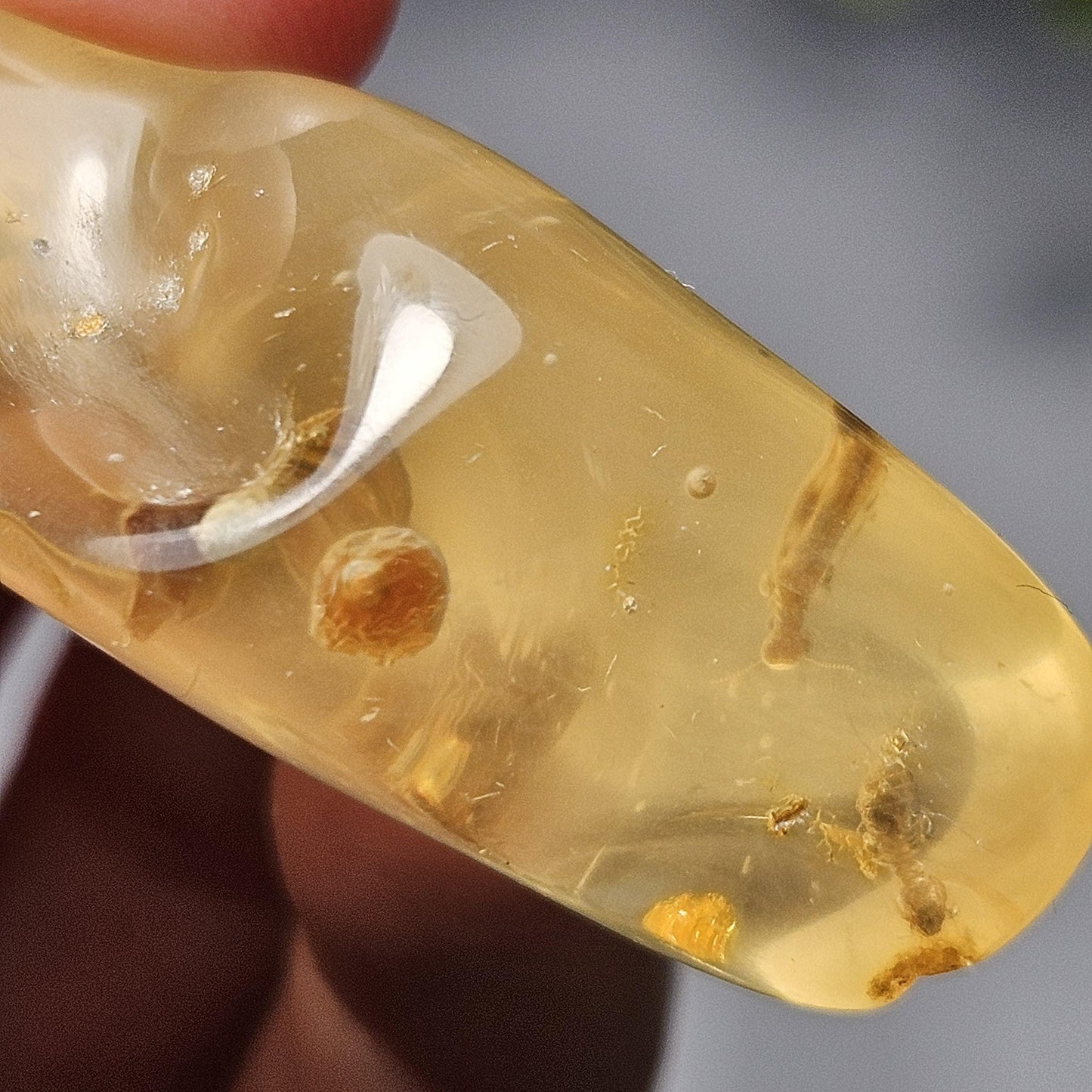 Enhydro Amber with MOVING Bubble & Insect Inclusions, 9.32g