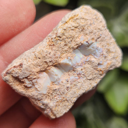 Mexican Fire Opal Crystal, Raw Fire Opal, Rough Specimen