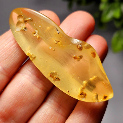 Enhydro Amber with MOVING Bubble & Insect Inclusions, 9.32g