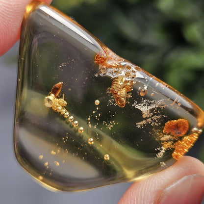 Enhydro Amber with MOVING Bubble & Bug Inclusions, 4.78g
