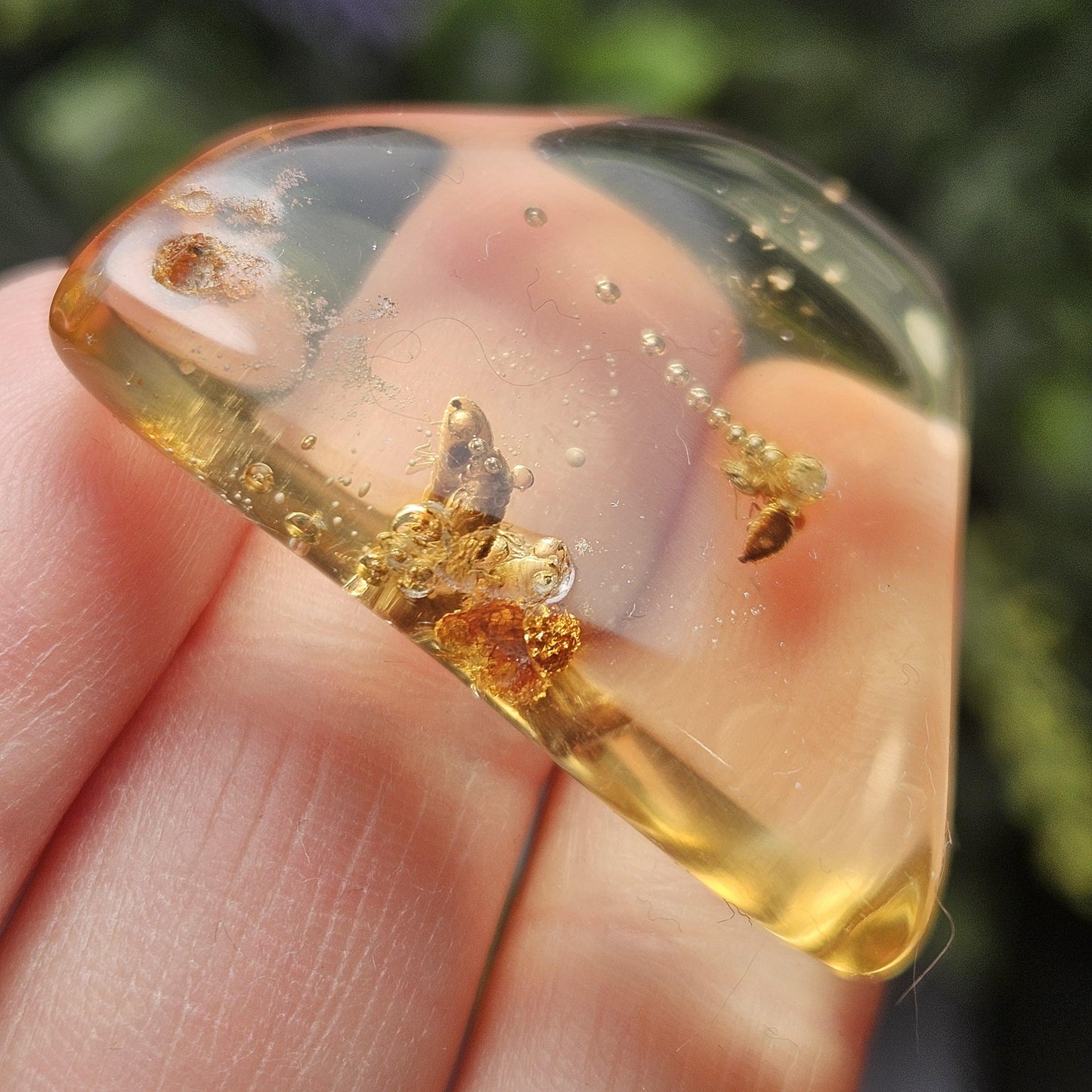 Enhydro Amber with MOVING Bubble & Bug Inclusions, 4.78g