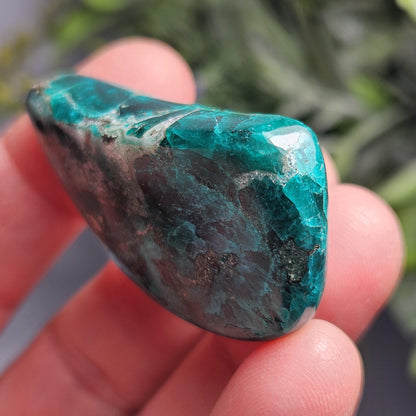 Polished Dioptase Crystal 28.59g, Congo Dioptase Specimen