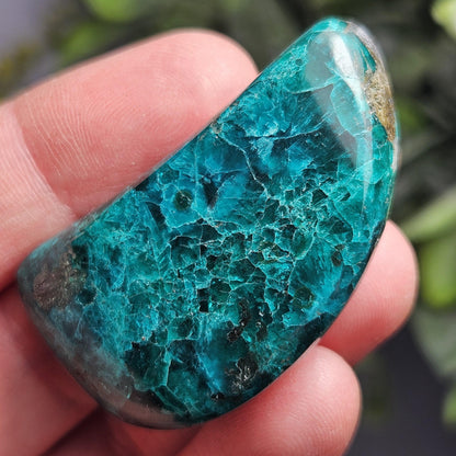 Polished Dioptase Crystal 28.59g, Congo Dioptase Specimen