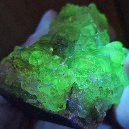 Hyalite Opal Specimen 81.70g, UV Reactive Fluorescent Botryoidal Crystal from Mexico