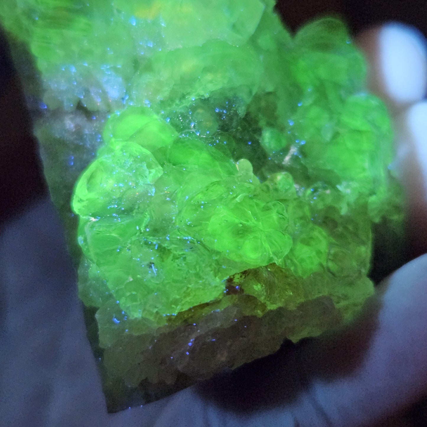 Hyalite Opal Specimen 81.70g, UV Reactive Fluorescent Botryoidal Crystal from Mexico