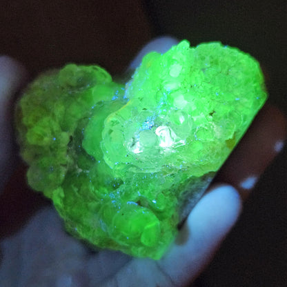 Hyalite Opal Specimen 81.70g, UV Reactive Fluorescent Botryoidal Crystal from Mexico