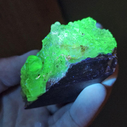 Hyalite Opal Specimen 81.70g, UV Reactive Fluorescent Botryoidal Crystal from Mexico