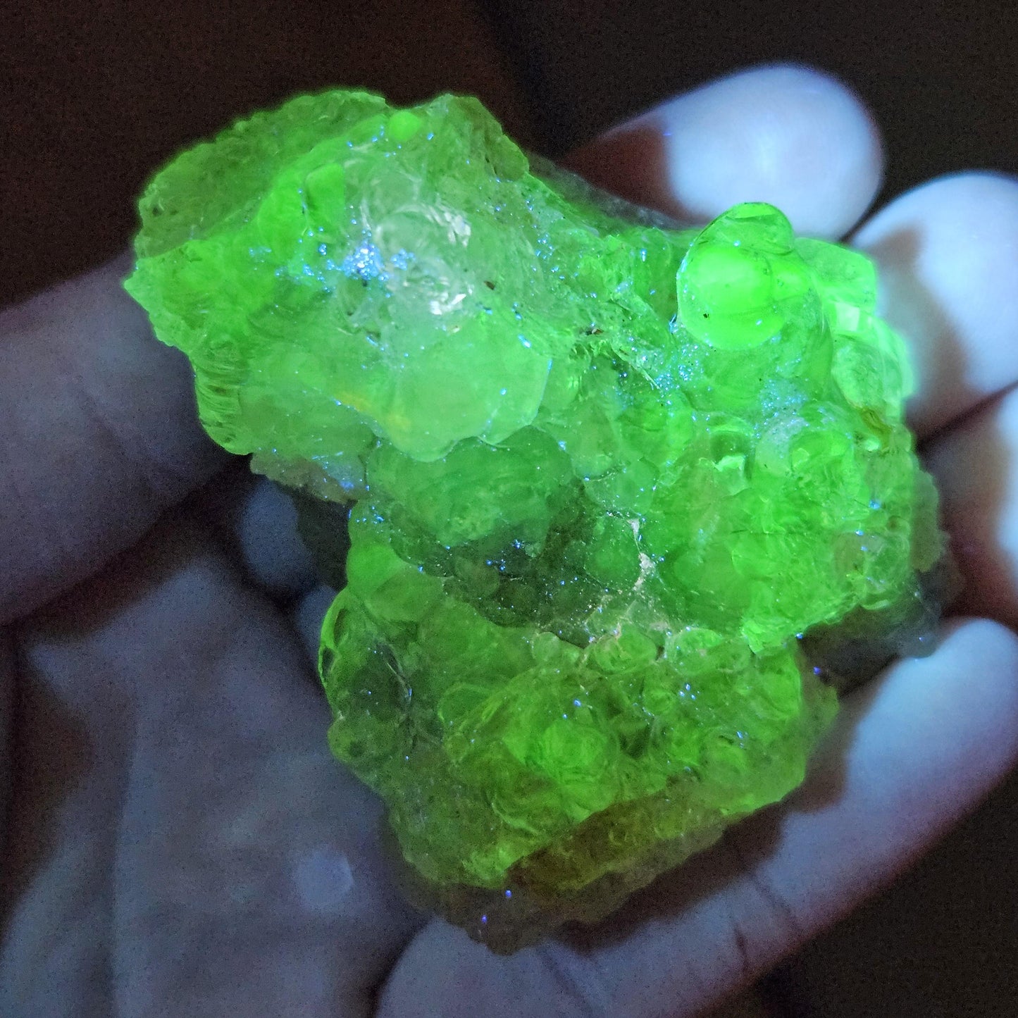 Hyalite Opal Specimen 81.70g, UV Reactive Fluorescent Botryoidal Crystal from Mexico