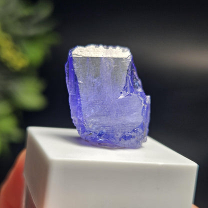 Raw Tanzanite Crystal 3.16g, Raw Indigo Tanzanite, Terminated Specimen