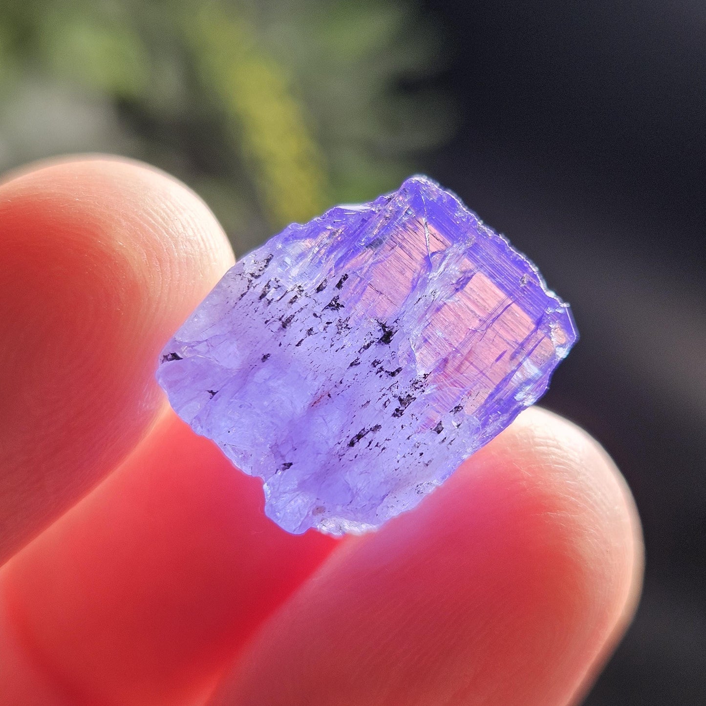 Raw Tanzanite Crystal 3.16g, Raw Indigo Tanzanite, Terminated Specimen