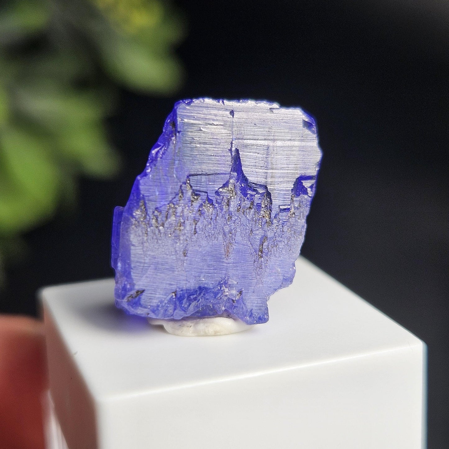 Raw Tanzanite Crystal 3.16g, Raw Indigo Tanzanite, Terminated Specimen