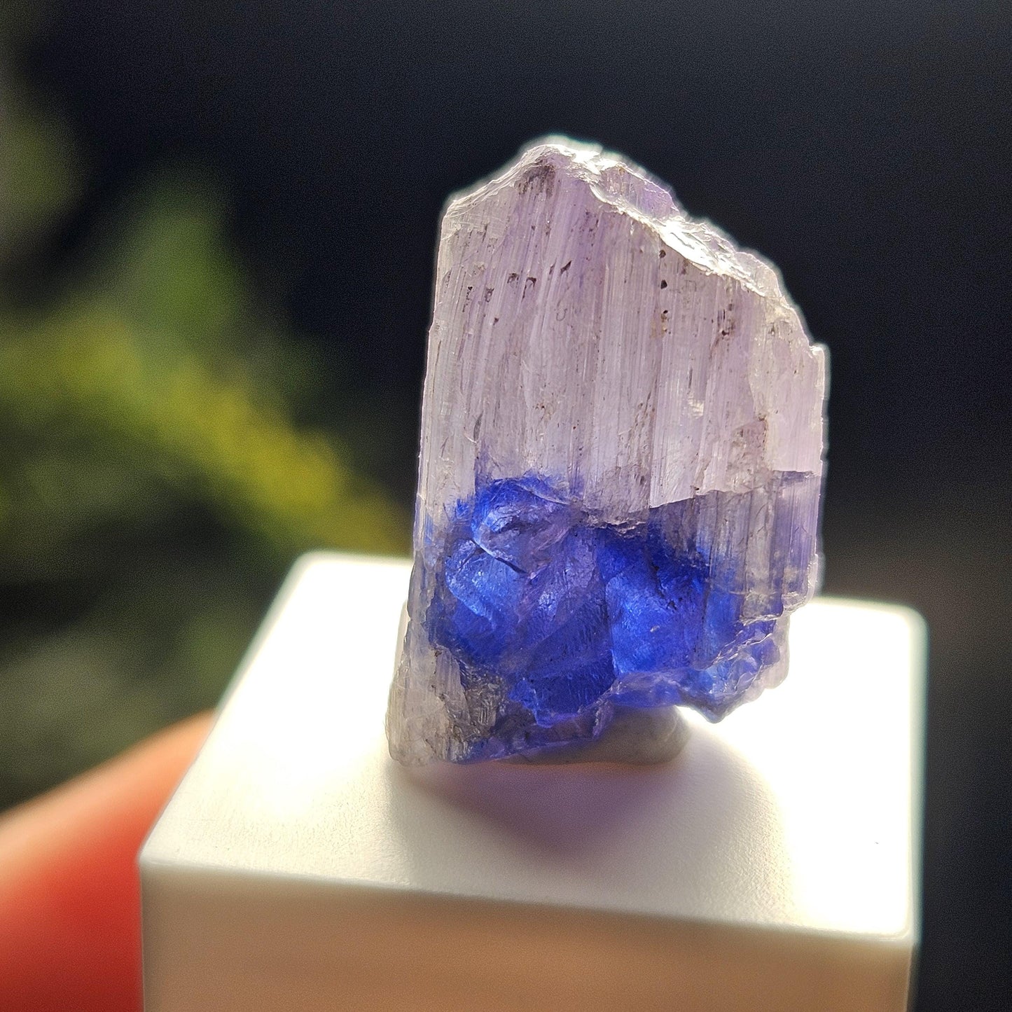Bi-Colored Tanzanite Crystal, 3.91 grams