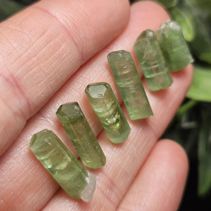 Apple Green Tourmaline Crystal, Terminated Green Gemstone Specimen