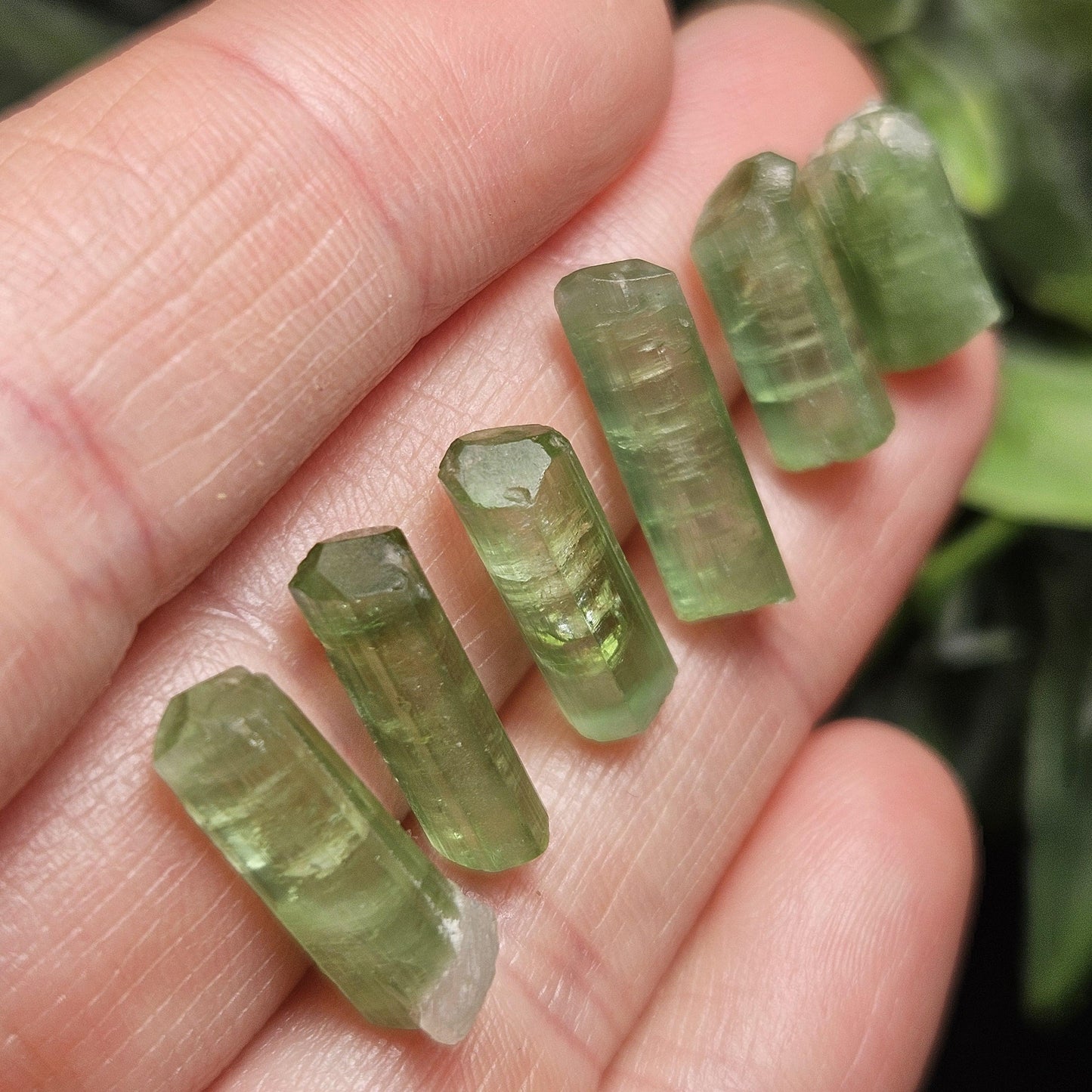 Green Tourmaline Crystal, Terminated Apple Green Gemstone Specimen