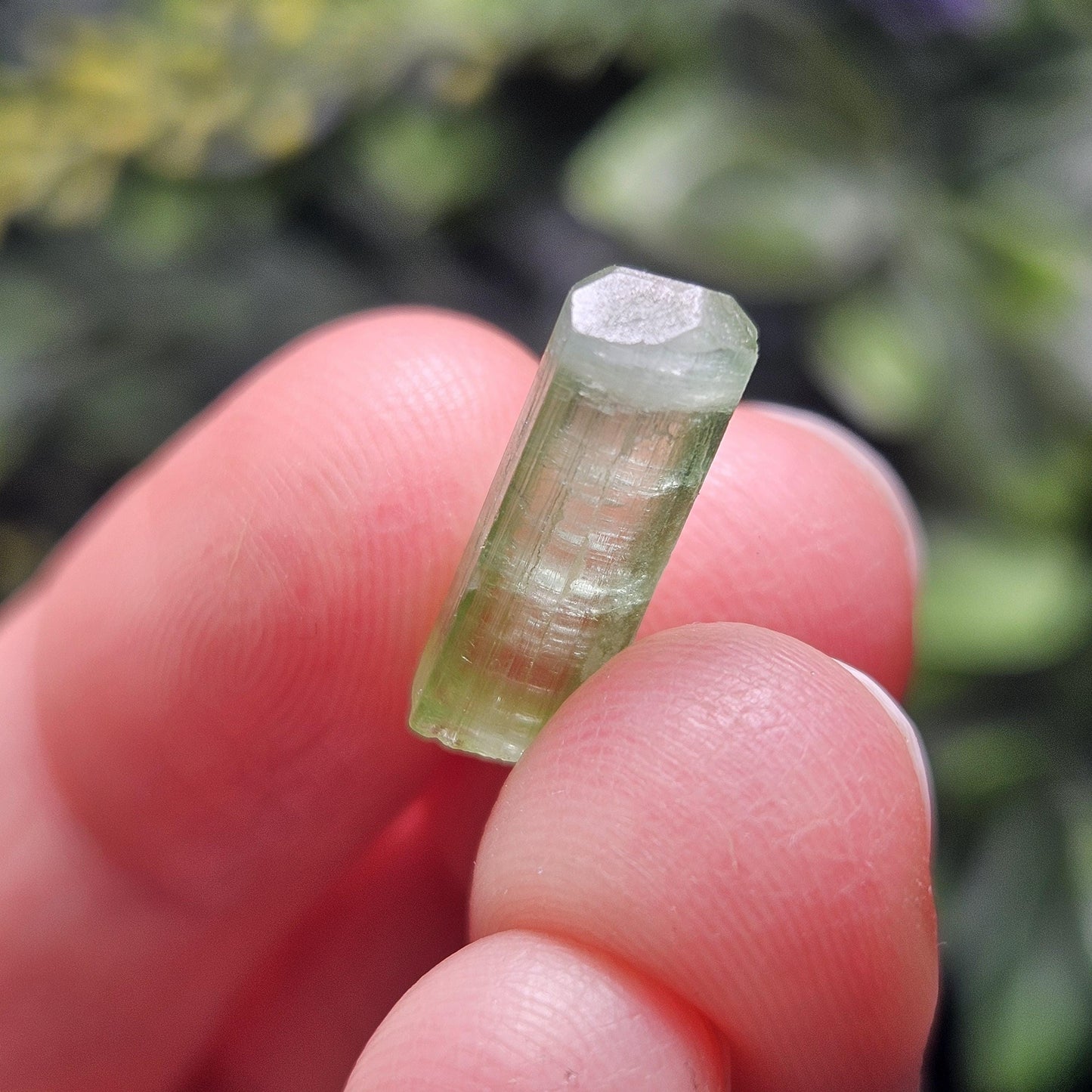 Apple Green Tourmaline Crystal, Terminated Green Gemstone Specimen
