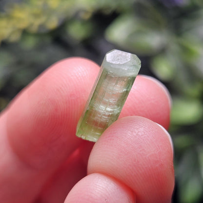 Apple Green Tourmaline Crystal, Terminated Green Gemstone Specimen