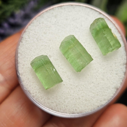 Apple Green Tourmaline Crystal, Terminated Green Gemstone Specimen