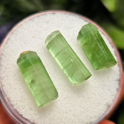 Apple Green Tourmaline Crystal, Terminated Green Gemstone Specimen