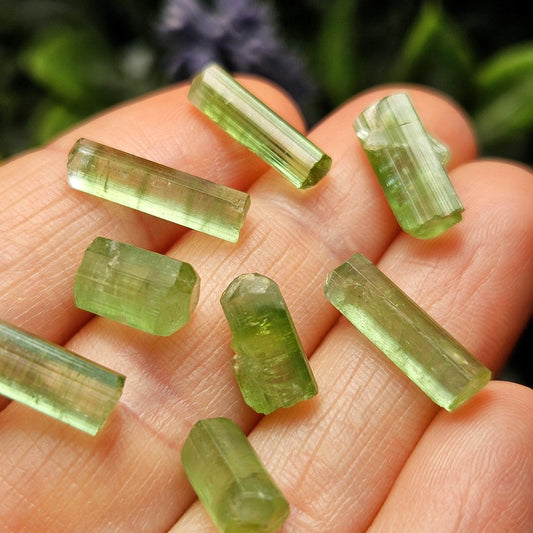 Apple Green Tourmaline Crystal, Terminated Green Gemstone Specimen