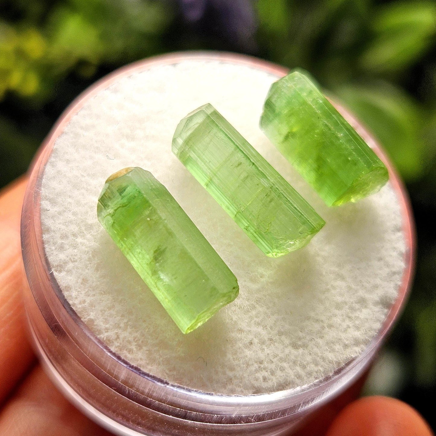 Apple Green Tourmaline Crystal, Terminated Green Gemstone Specimen