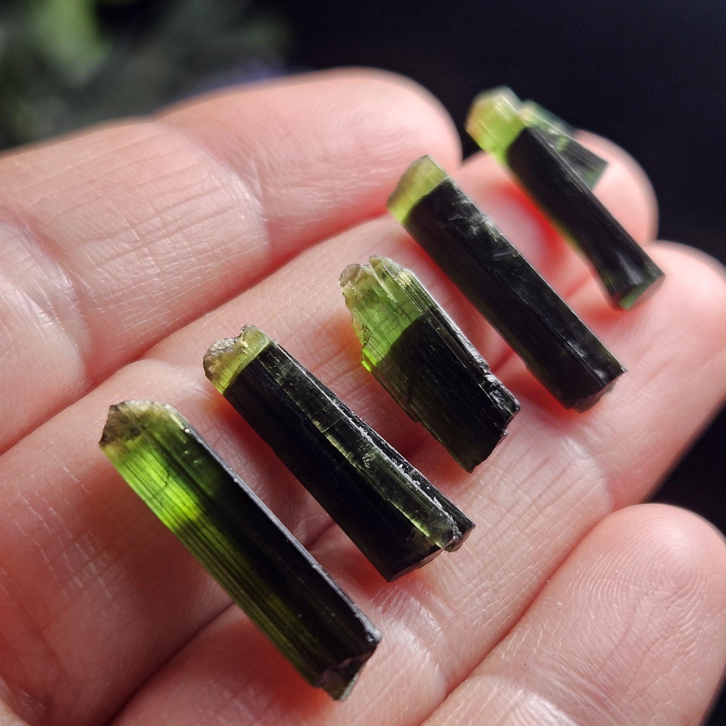 Green Tipped Tourmaline Crystal, Bicolor Green & Black Tourmaline Gemstone Specimen