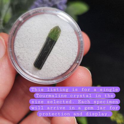 Green Tipped Tourmaline Crystal, Bicolor Green & Black Tourmaline Gemstone Specimen