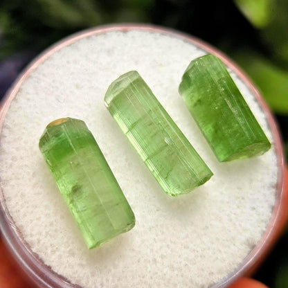 Green Tourmaline Crystal, Terminated Apple Green Gemstone Specimen