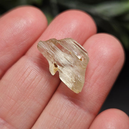 Etched Golden Kunzite Crystal Specimen, Natural Yellow Spodumene