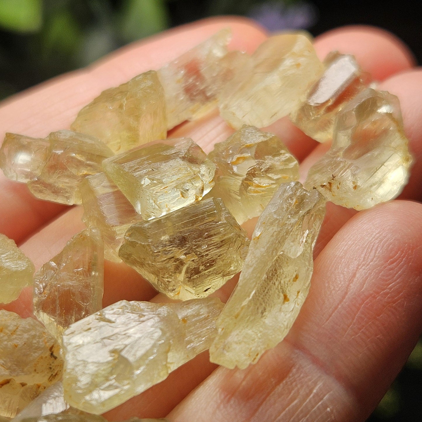 Etched Golden Kunzite Crystal Specimen, Natural Yellow Spodumene