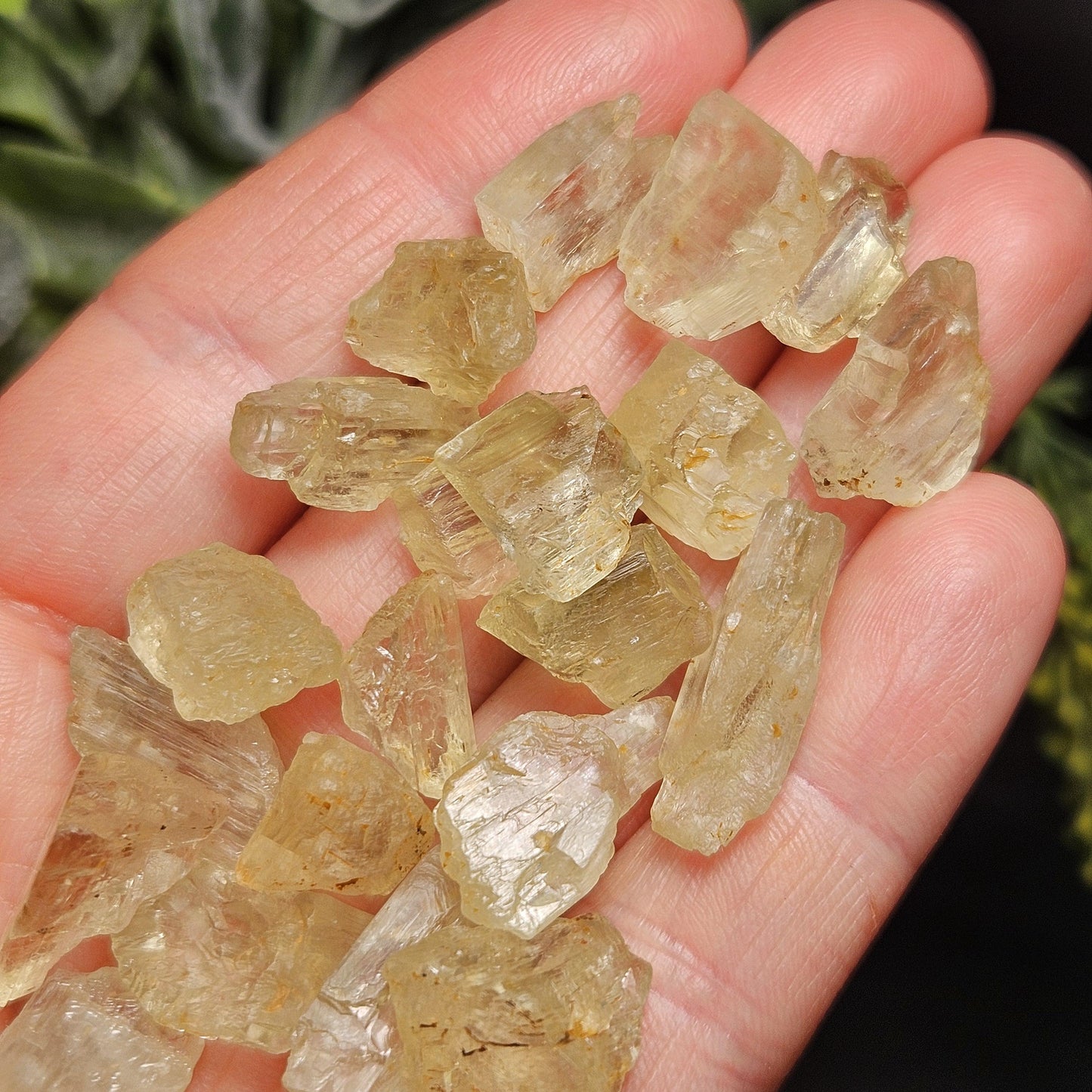 Etched Golden Kunzite Crystal Specimen, Natural Yellow Spodumene