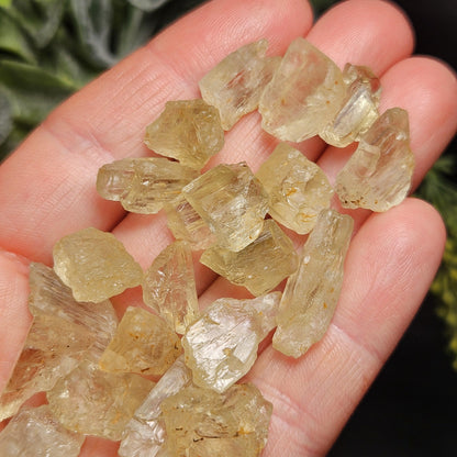 Etched Golden Kunzite Crystal Specimen, Natural Yellow Spodumene
