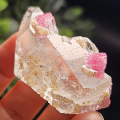 Bubblegum Pink Tourmaline in Quartz from Brazil 25.77g, Raw Brazilian Tourmaline Specimen, Pink Tourmaline Crystal