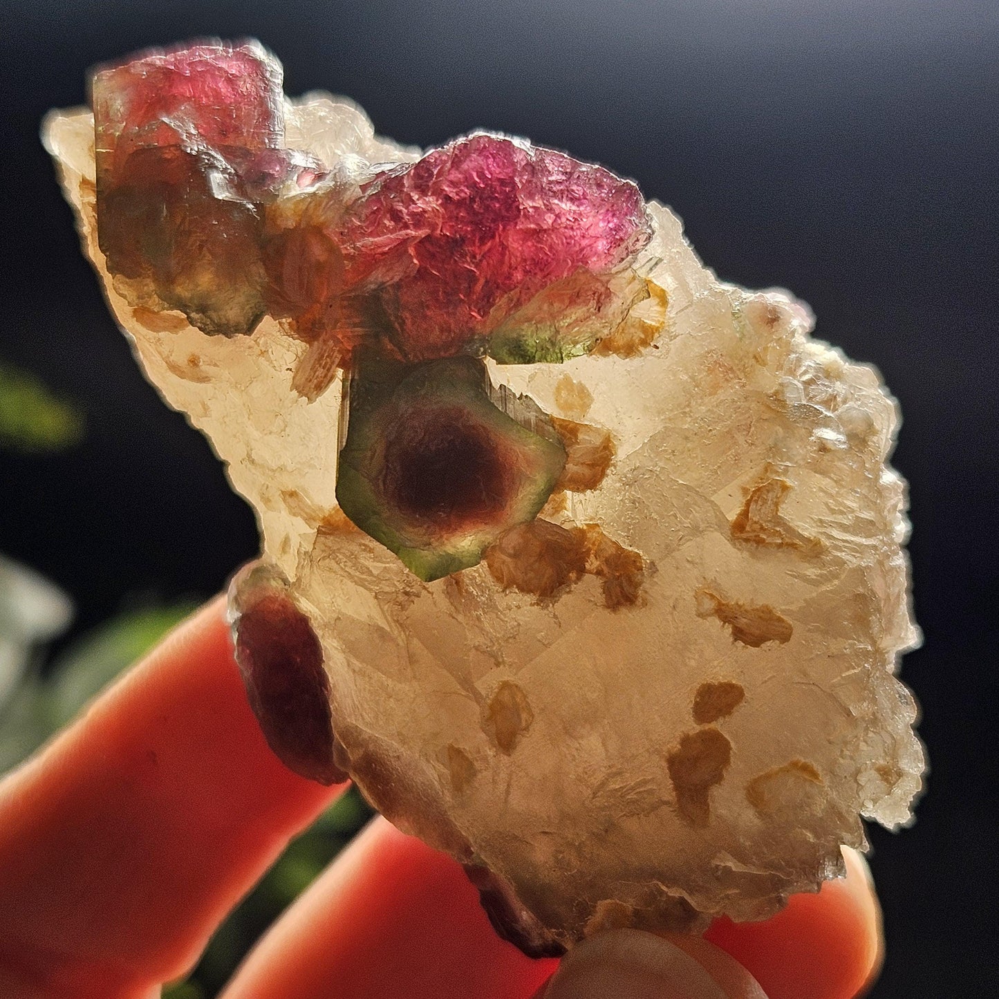 Watermelon Tourmaline on Quartz 74g