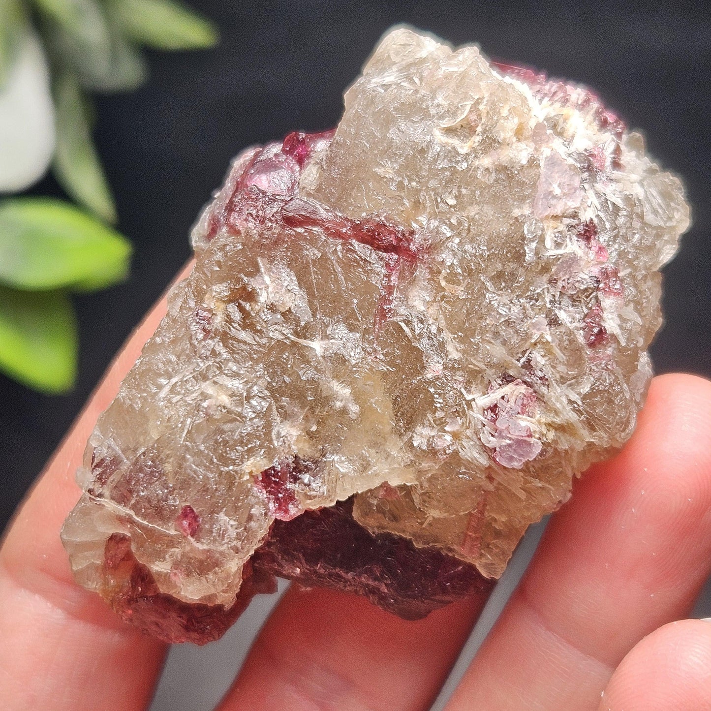Watermelon Tourmaline on Quartz 74g