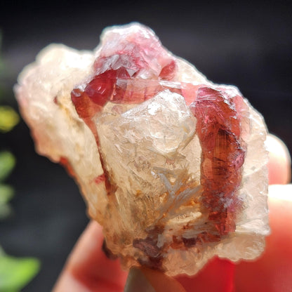 Watermelon Tourmaline on Quartz 74g