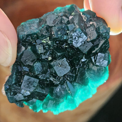 Dioptase Specimen from Congo 51g