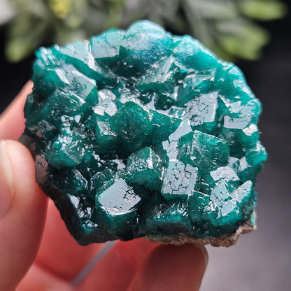Dioptase Specimen from Congo 51g