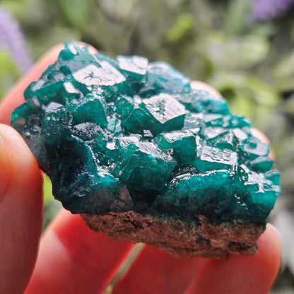 Dioptase Specimen from Congo 51g