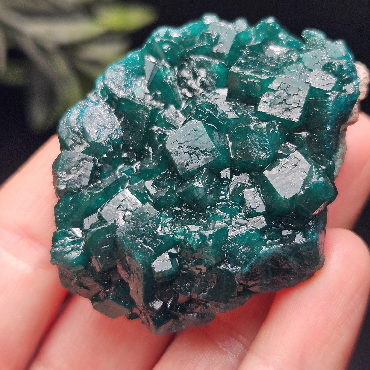 Dioptase Specimen from Congo 51g