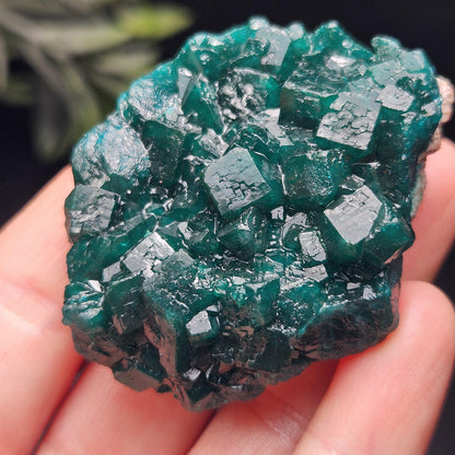 Dioptase Specimen from Congo 51g