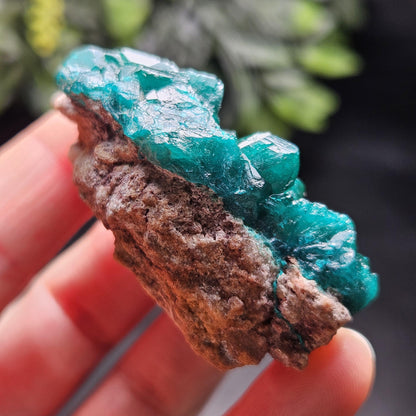 Dioptase Specimen from Congo 51g