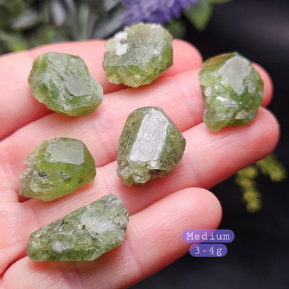 Terminated Chrome Diopside Crystal, Green Alpine Diopside Specimen