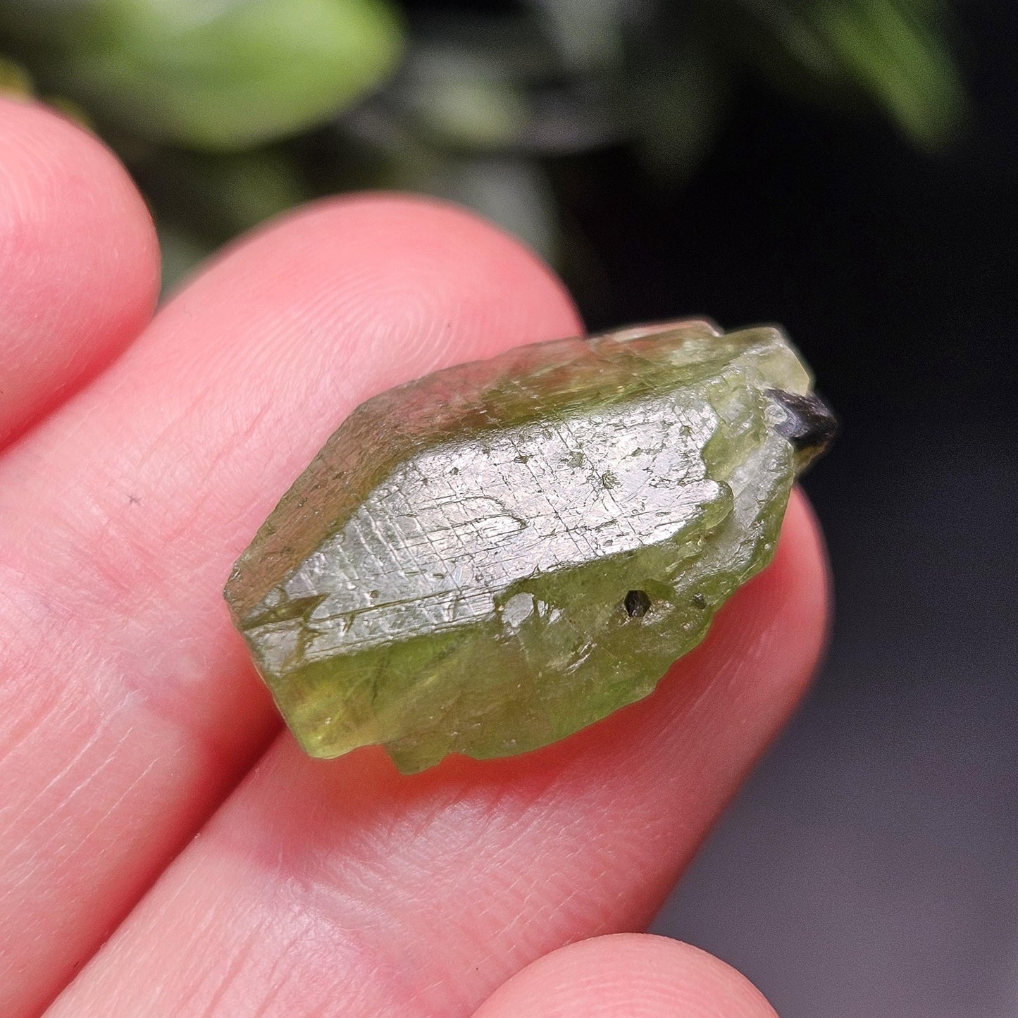 Terminated Chrome Diopside Crystal, Green Alpine Diopside Specimen