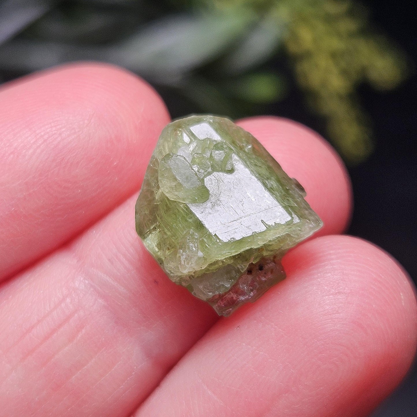 Terminated Chrome Diopside Crystal, Green Alpine Diopside Specimen