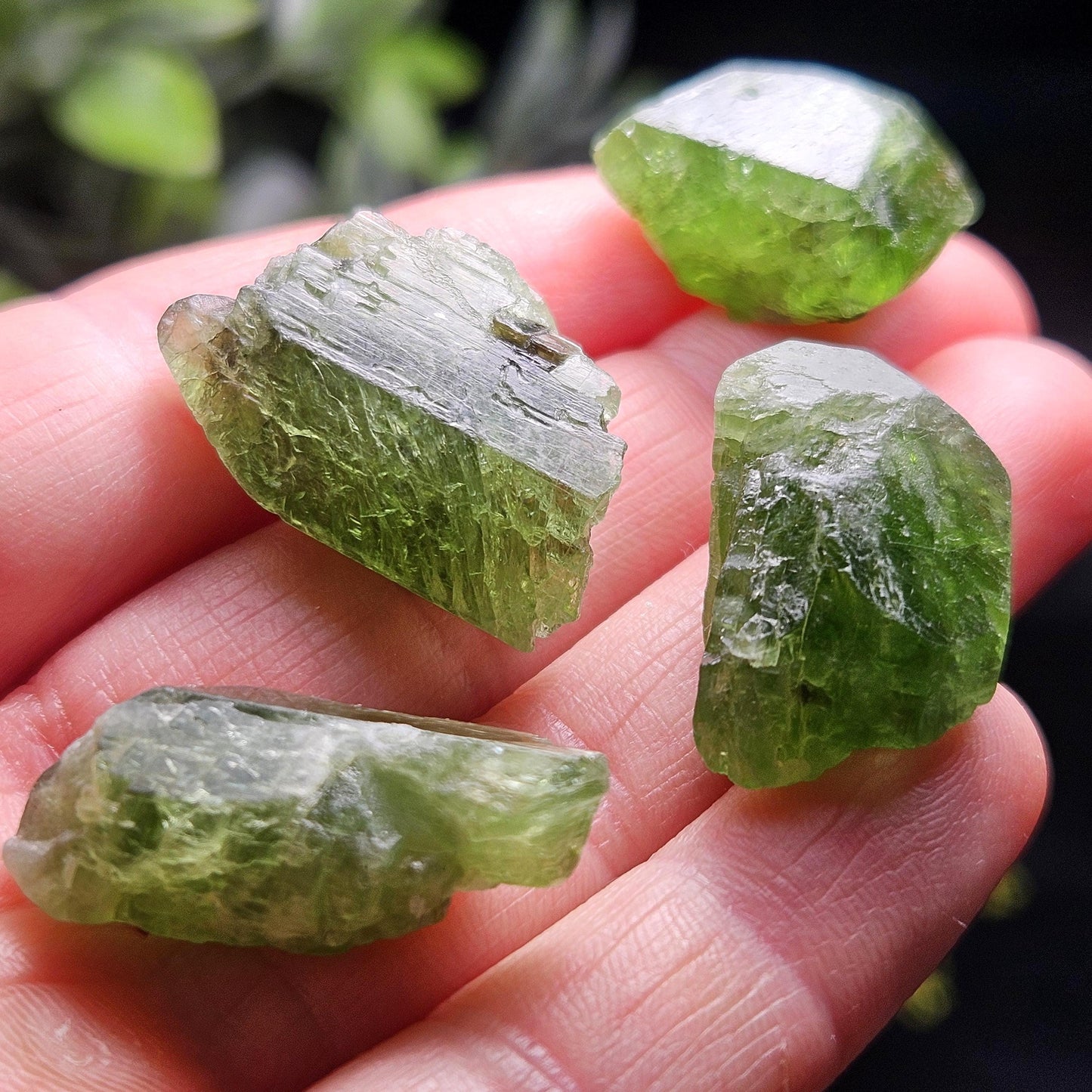 Terminated Chrome Diopside Crystal, Green Alpine Diopside Specimen